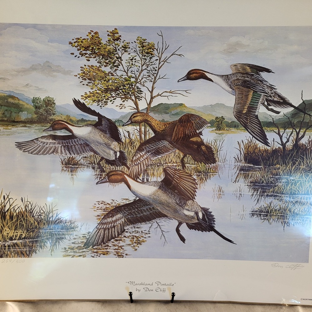 "Marshland Pintails" Don Cliff Signed and Numbered 264/500 1974